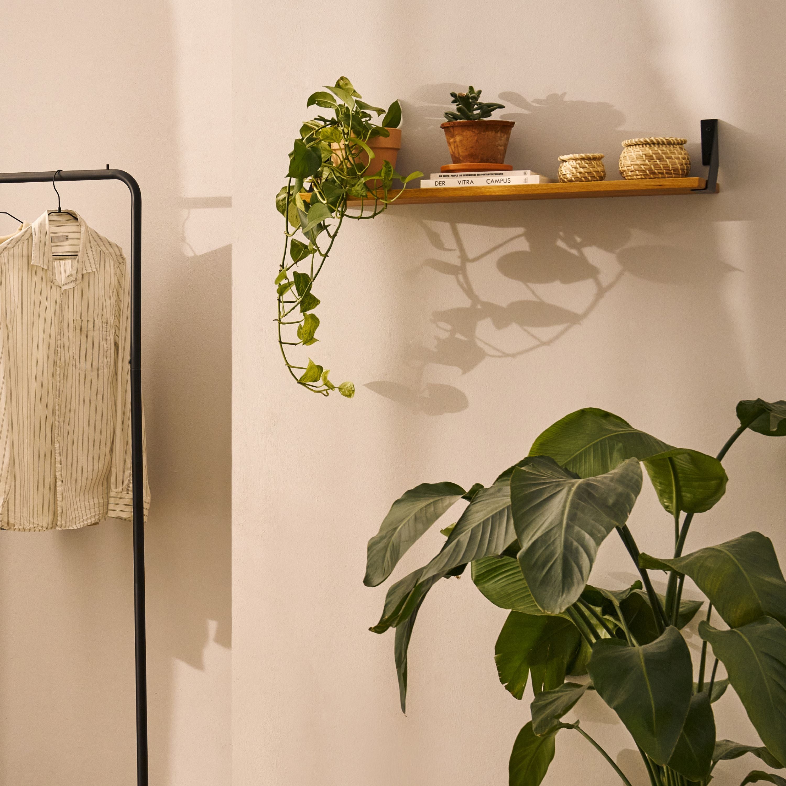 Set van 2 plankbeugels LICHTENBERG