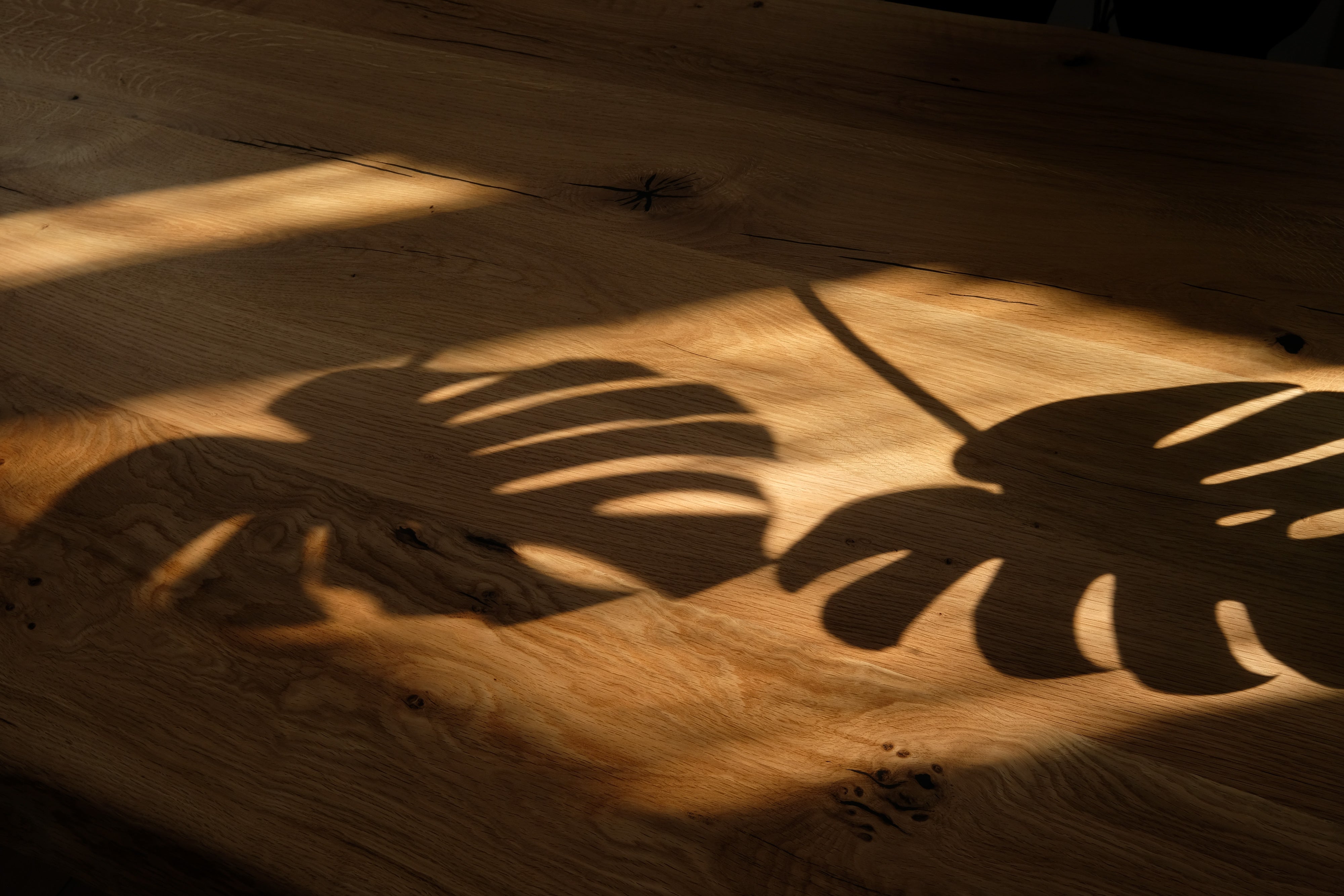 Holzplatten & Rundstäbe
